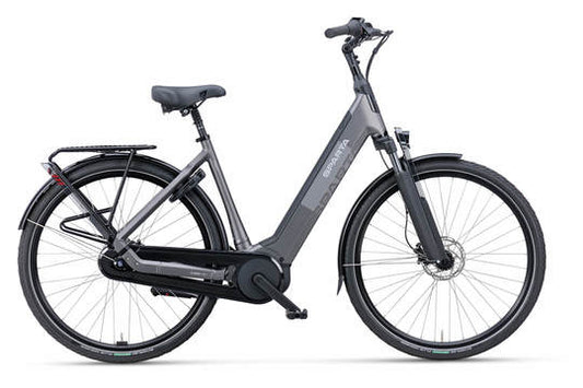 DAMES GREY BROWN MATTE 48cm 2026