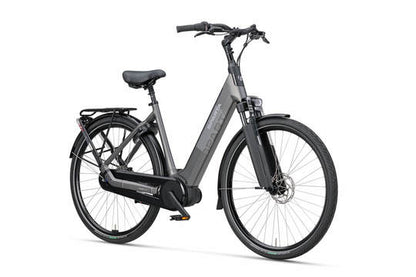 DAMES GREY BROWN MATTE 57cm 2026