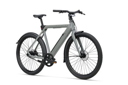 Heren sage grey 58cm 2026