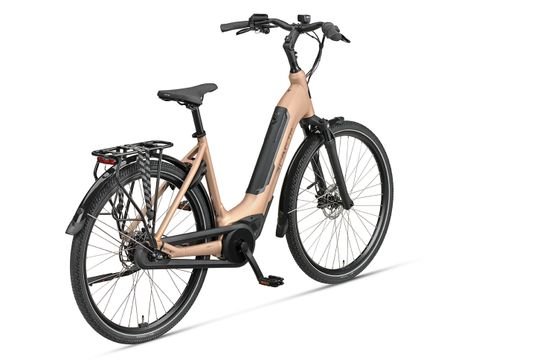 DAMES Peach matt 61cm 2026