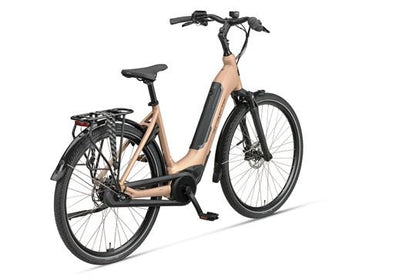 DAMES Peach matt 61cm 2026