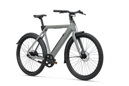 RALEIGH ONE Heren SAGE GREY 58cm 2026