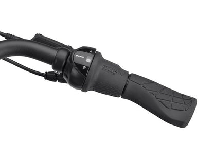 BATAVUS Finez PT 2026 DAMES Volcano Black Matt 57cm 2026