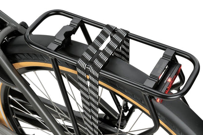 Dames Titan Grey Gloss 56cm 2024