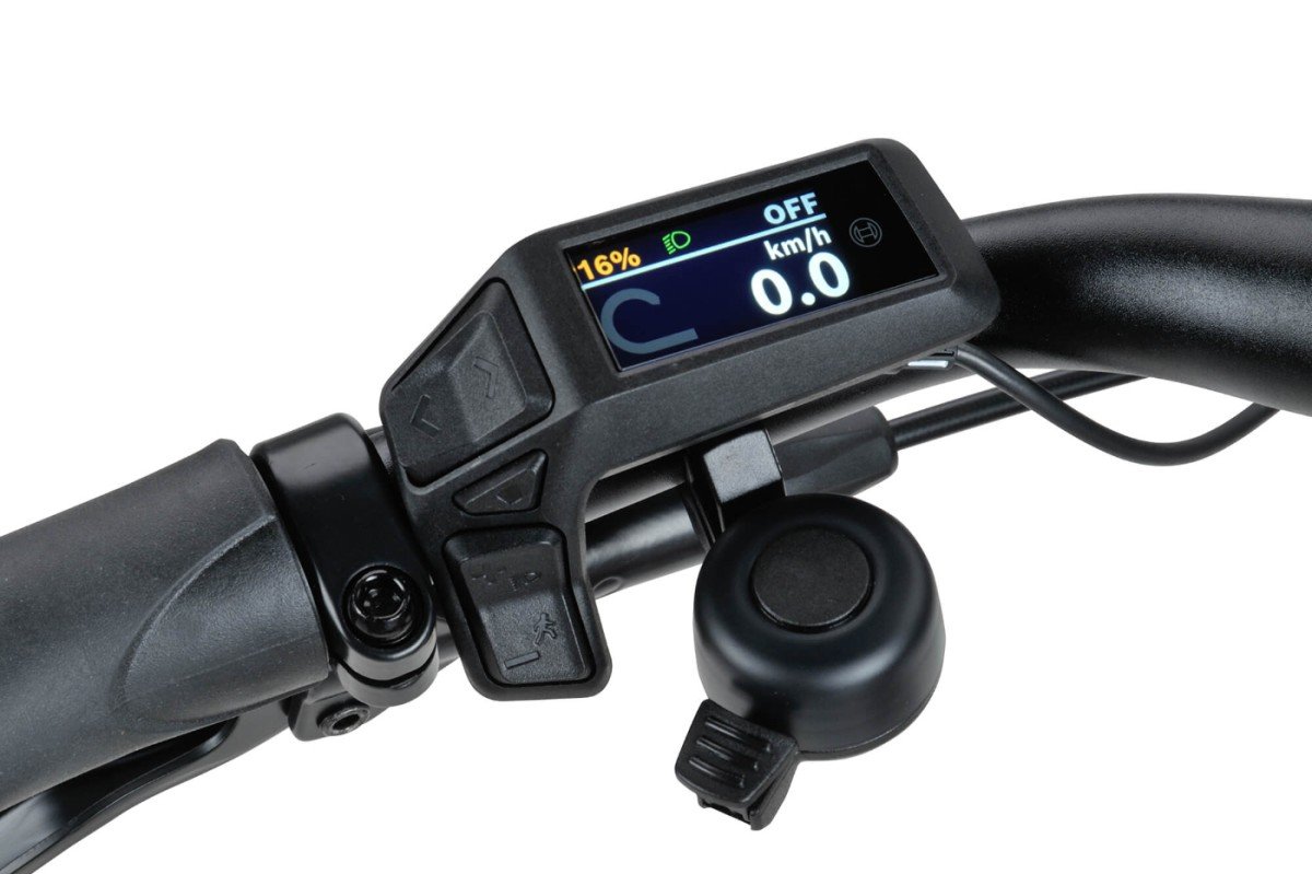 Dames Titan Grey Gloss 56cm 2024