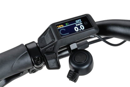 Dames Titan Grey Gloss 56cm 2024