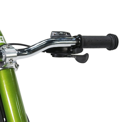 Aanhangfiets Burley Piccolo