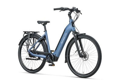 DAMES Grayish Blue matt 51cm 2026