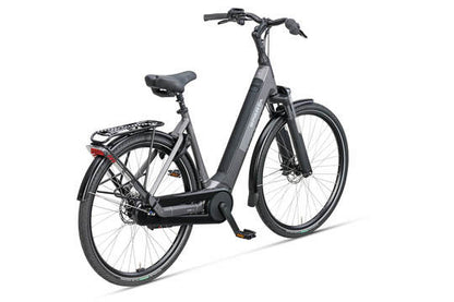 DAMES GREY BROWN MATTE 53cm 2026