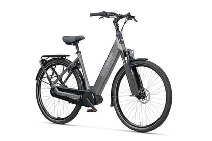 DAMES GREY BROWN MATTE 53cm 2027