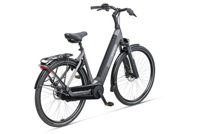 DAMES GREY BROWN MATTE 53cm 2027