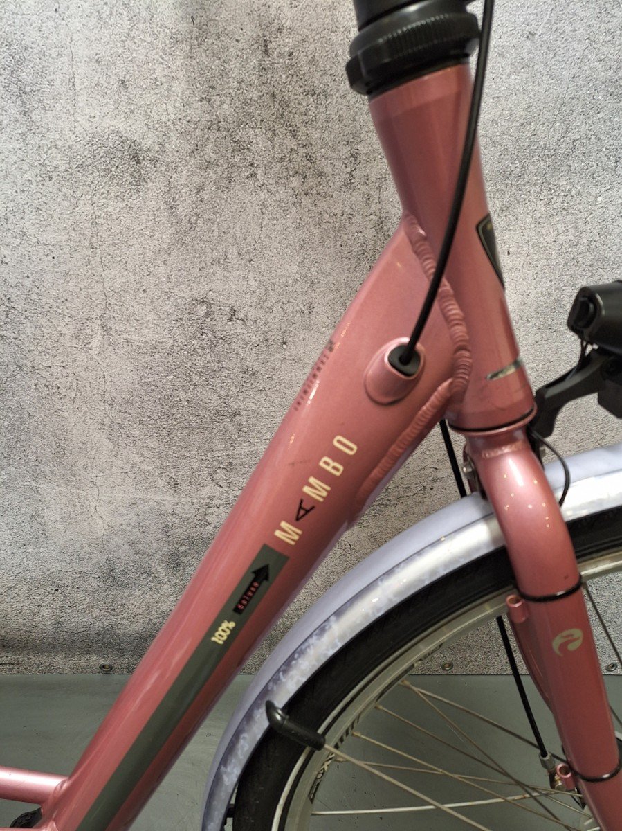 Batavus MAMBO DELUXE DN7 Dames ijsroze 53cm