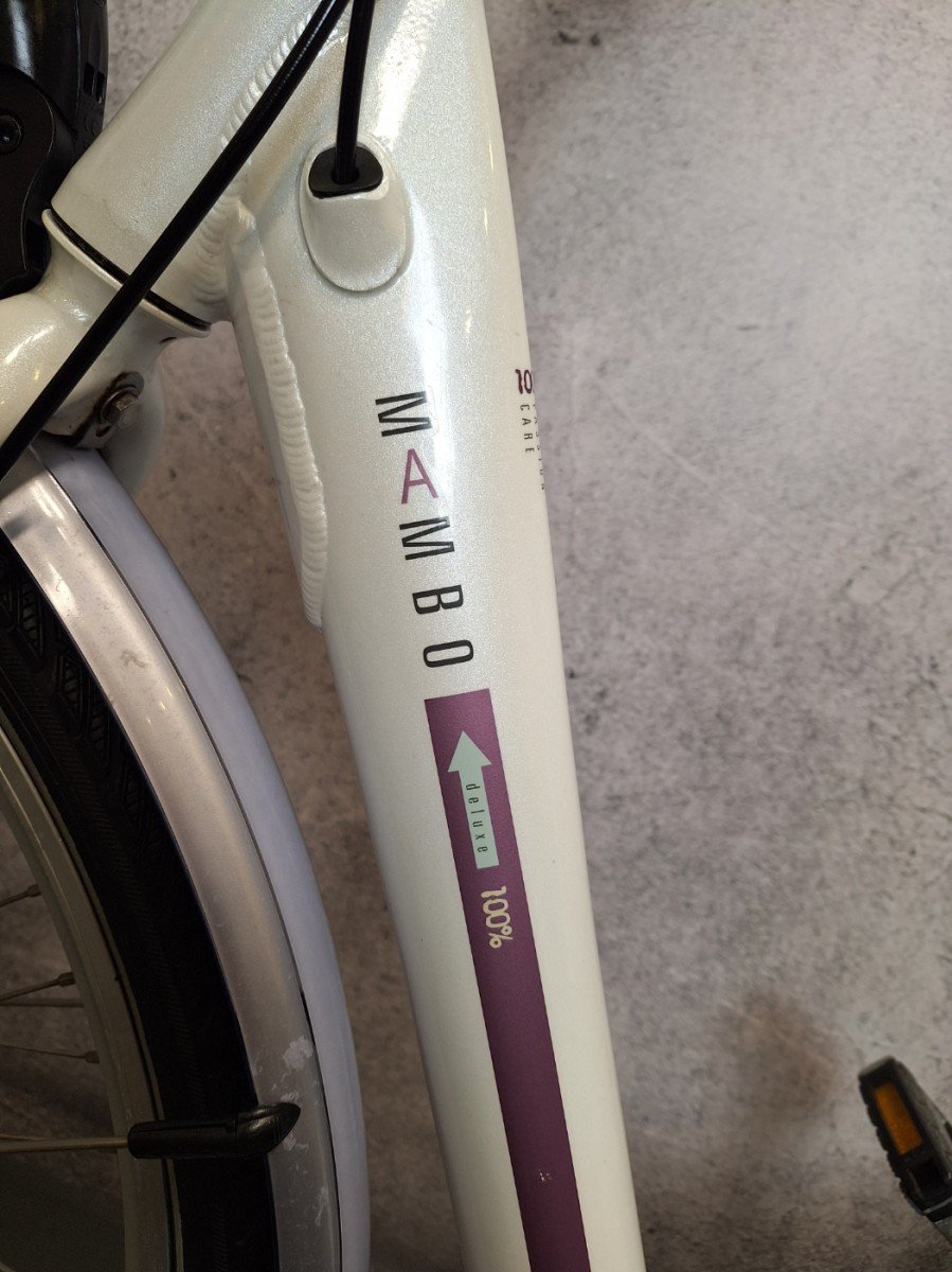 Batavus Mambo Dames Wit 53cm
