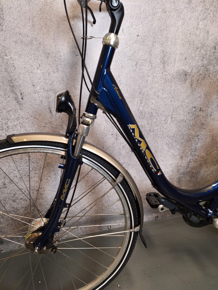 Multicycle Active Dames Blauw 50cm