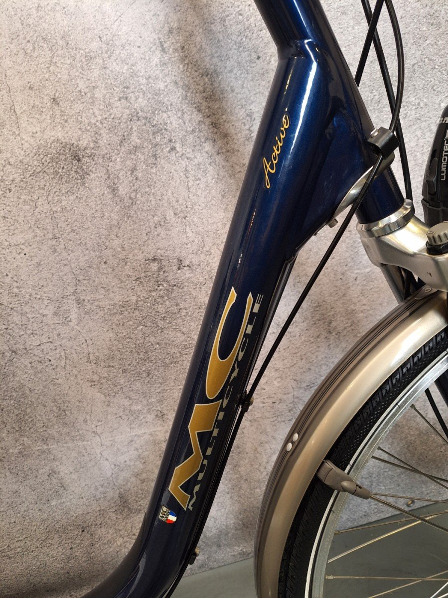 Multicycle Active Dames Blauw 50cm