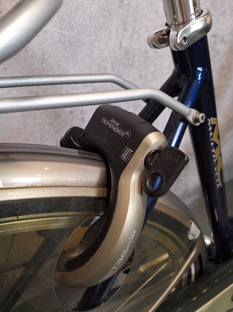 Multicycle Active Dames Blauw 50cm