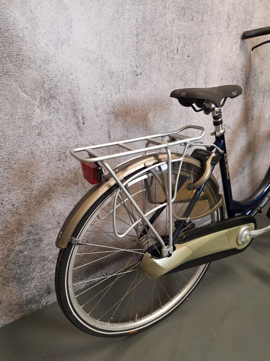 Multicycle Active Dames Blauw 50cm