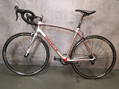 Gazelle Race - Carbon Heren Wit-Zilver-Rood