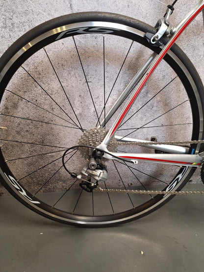 Gazelle Race - Carbon Heren Wit-Zilver-Rood