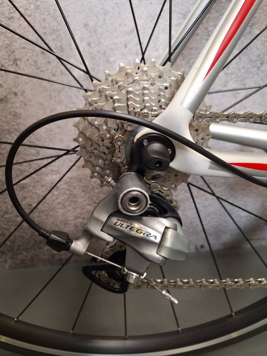 Gazelle Race - Carbon Heren Wit-Zilver-Rood