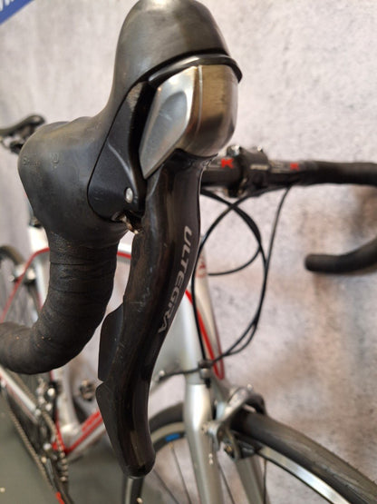 Gazelle Race - Carbon Heren Wit-Zilver-Rood