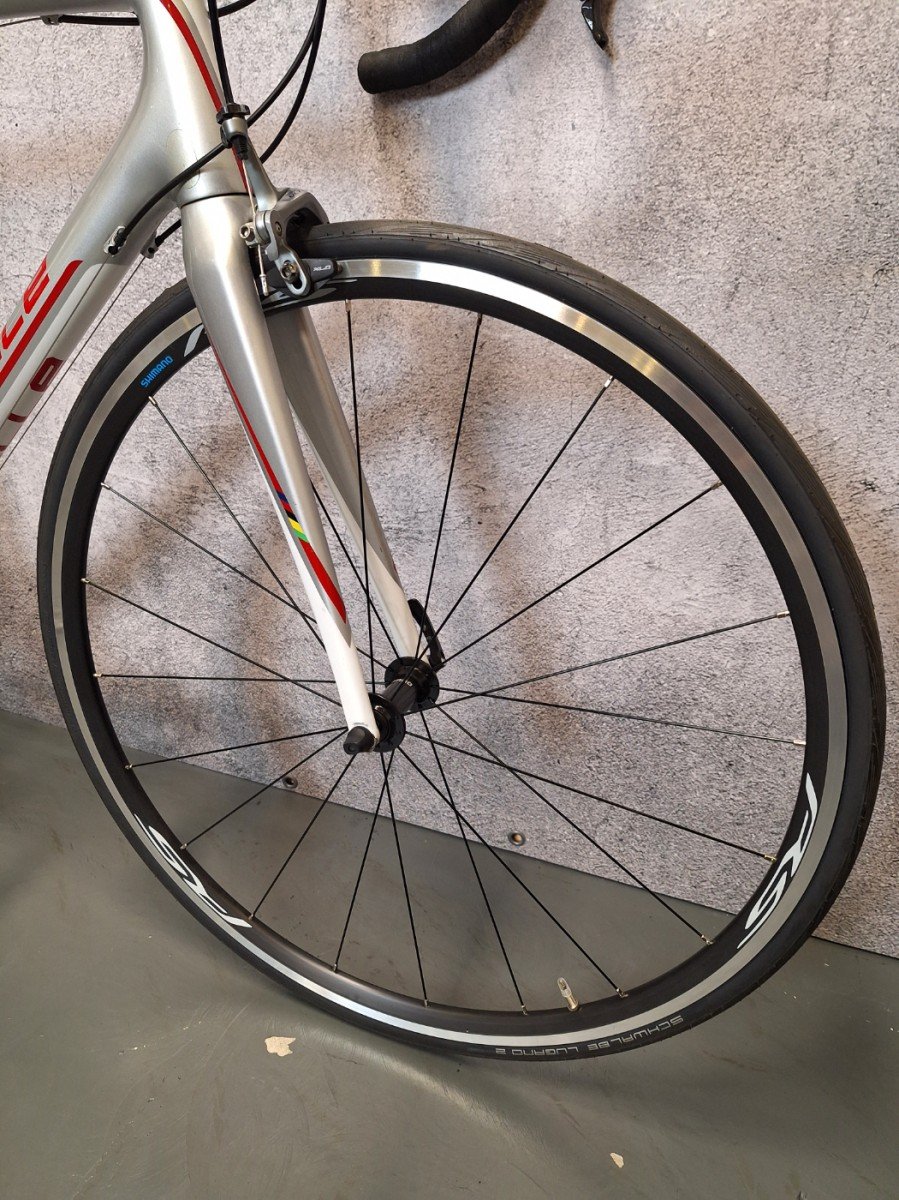 Gazelle Race - Carbon Heren Wit-Zilver-Rood