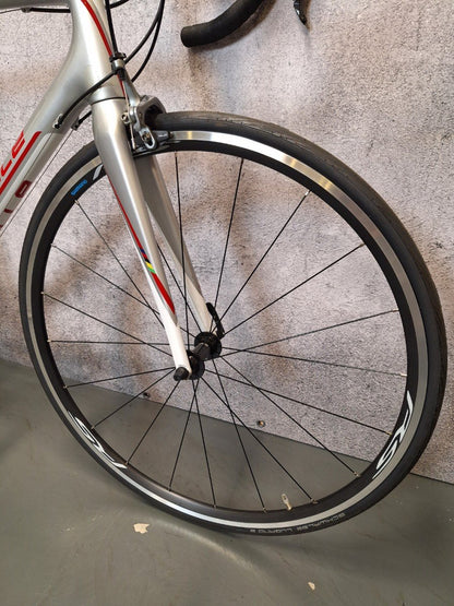 Gazelle Race - Carbon Heren Wit-Zilver-Rood