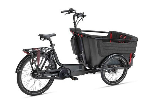 BATAVUS Fier-3 Enviolo Zwart 52cm 2022