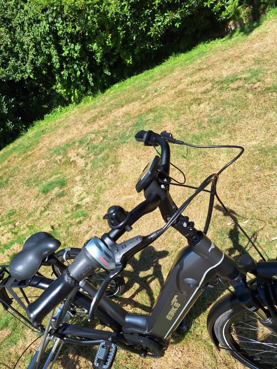 Ebike Das Original E-Bike Dames AntracietGrijs 50cm