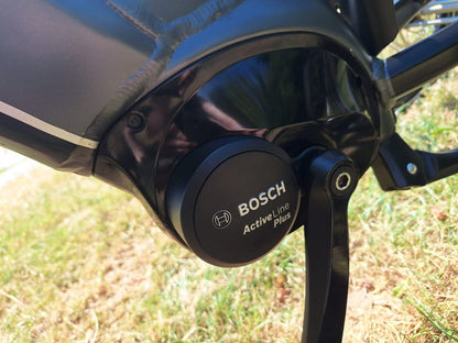 Ebike Das Original E-Bike Dames AntracietGrijs 50cm