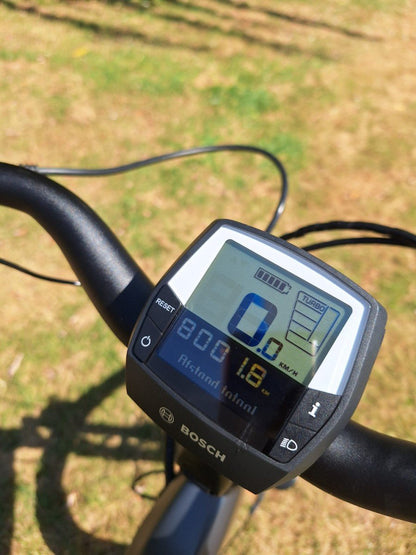 Ebike Das Original E-Bike Dames AntracietGrijs 50cm